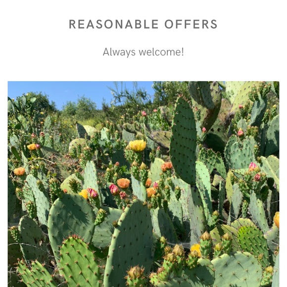 Love the item but not my price? - Picture 1 of 1